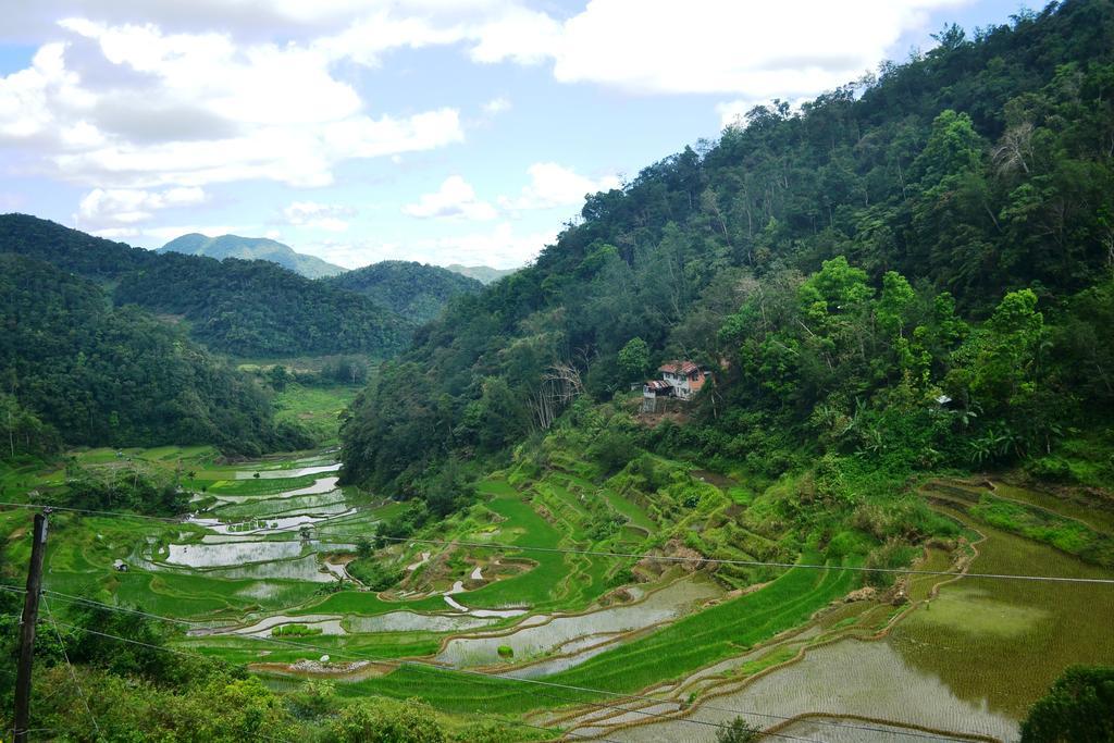 Banaue Greenfields Inn Buitenkant foto